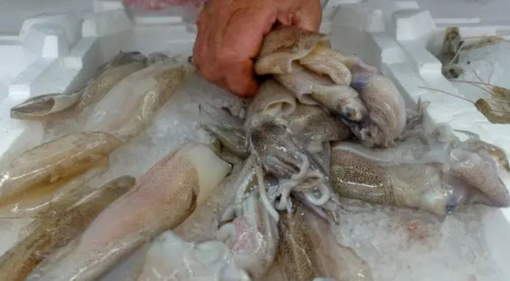 Phát hiện virus SARS-CoV-2 trên bao bì mực nhập khẩu vào Trung Quốc