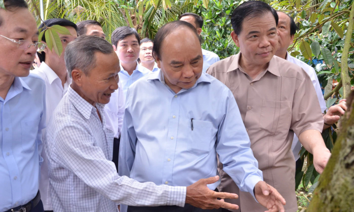 Thủ tướng khảo sát vùng chuyên canh sầu riêng tại Tiền Giang