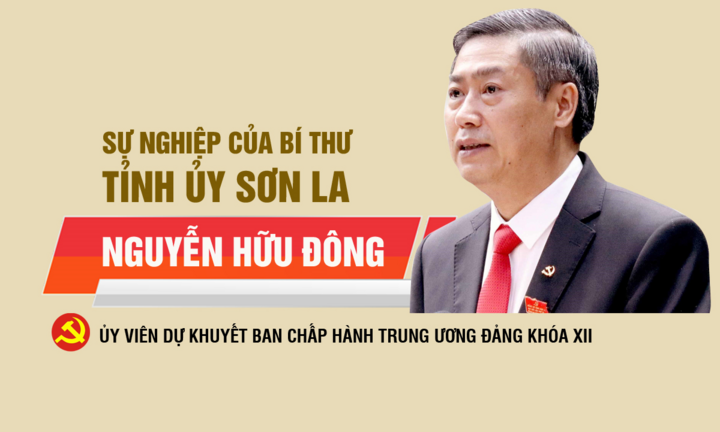 Infographic: Sự nghiệp tân Bí thư Tỉnh ủy Sơn La Nguyễn Hữu Đông
