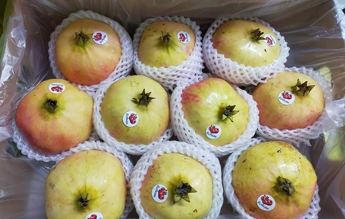 Đủ loại lựu ngoại đắt đỏ đổ vào Việt Nam