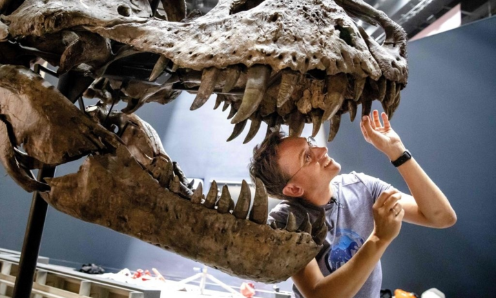 Dấu tích cuối cùng của loài khủng long