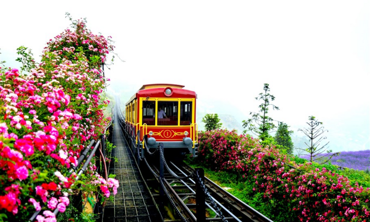 Bật mí những điểm du lịch an toàn có thể đi ngay lúc này