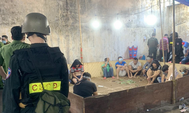 Nhiều cảnh sát bị xem xét trách nhiệm vì để trường gà hoạt động