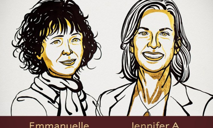 Video: Công bố Giải Nobel Hóa học 2020