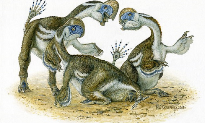 Hóa thạch khủng long 2 ngón tay kỳ quái 