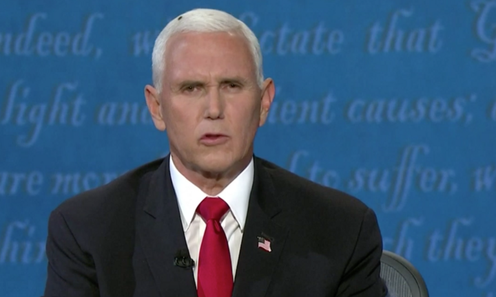 Con ruồi xuất hiện trong cuộc tranh luận Phó Tổng thống Mỹ 2020 gây 'bão mạng'