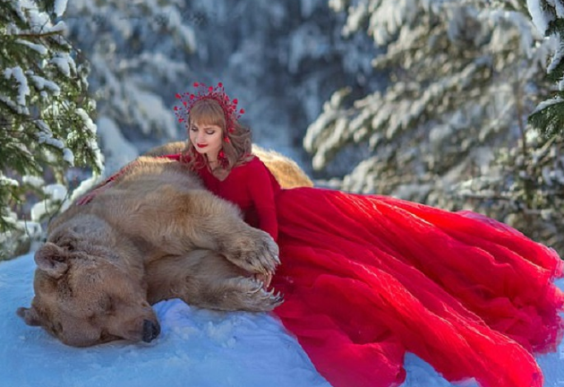 Gấu nâu bị mẹ bỏ rơi trở thành mẫu ảnh nổi tiếng