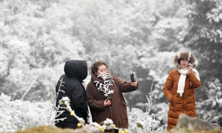 Năm nay rét đậm, rét hại đến sớm