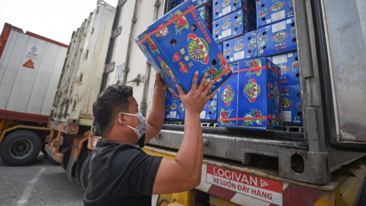 Xuất khẩu rau quả sụt giảm