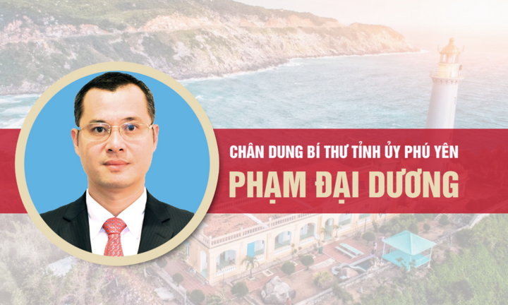 Infographic: Sự nghiệp Bí thư Tỉnh ủy Phú Yên Phạm Đại Dương
