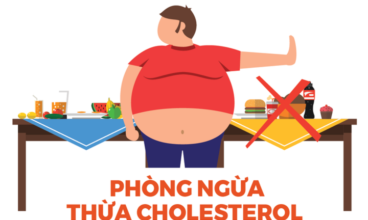 10 người trưởng thành có 3 người thừa Cholesterol trong cơ thể