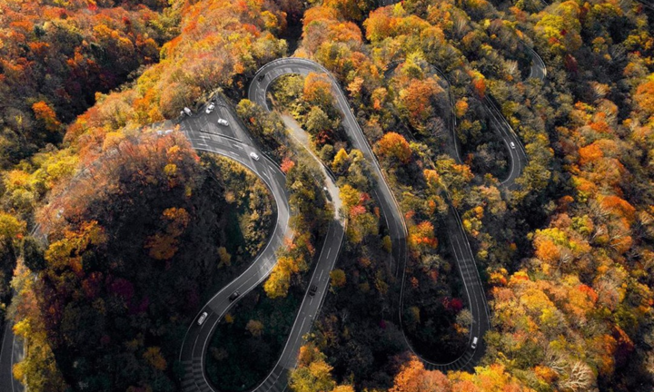 Video: Vàng rực cung đường 48 khúc cua ở Nhật Bản