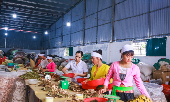 Lương Y Nguyễn Thị Hiền – Kho Báu Thuốc Nam Của Người Việt