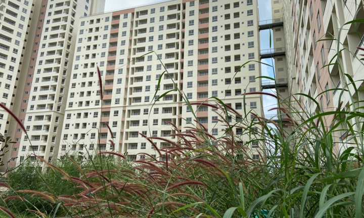 Vẻ hoang tàn tới lạnh người của những khu nhà tái định cư bỏ hoang ở TP.HCM