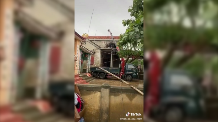 Clip: Dùng xe cẩu đưa trâu từ mái nhà xuống sân sau khi lũ rút tại Quảng Bình