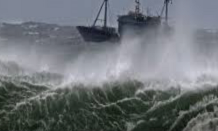 Video: Chưa biết số phận 3 tàu cá Bình Định mất tích trên biển giờ ra sao