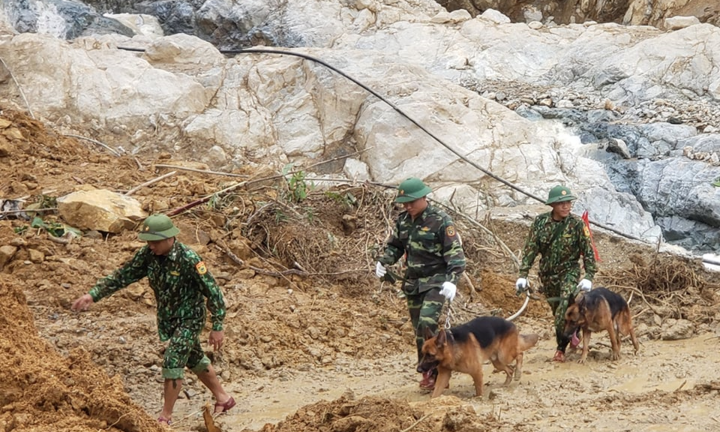 Đội mưa lật đá, đưa chó nghiệp vụ lùng sục tìm người mất tích ở Trà Leng