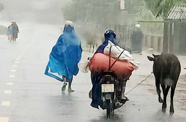 Lũ quét ào ạt đổ về sau mưa lớn, Hà Tĩnh khẩn cấp di dời dân