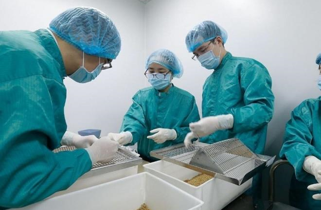 Việt Nam thử nghiệm vaccine COVID-19 trên khỉ