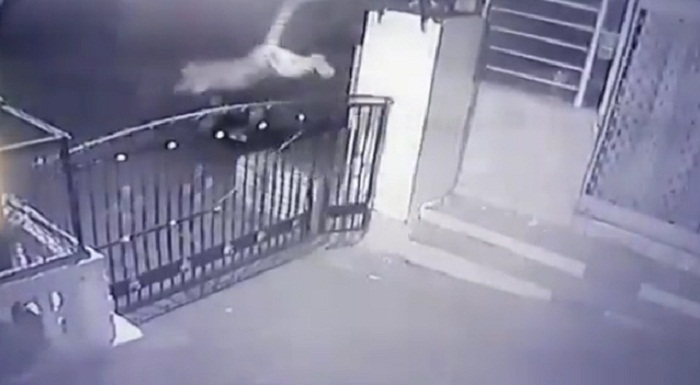 Video: Báo hoa mai phi thân ngoạn mục qua cổng sắt nhà dân lúc nửa đêm