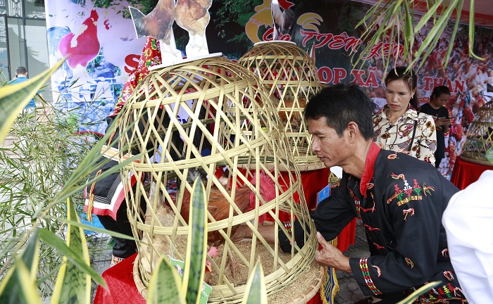 Quảng Ninh tổ chức cuộc thi Vua gà, gà đẹp