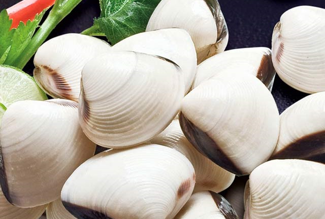 Bí quyết chọn ngao tươi và làm sạch cát cực hiệu quả