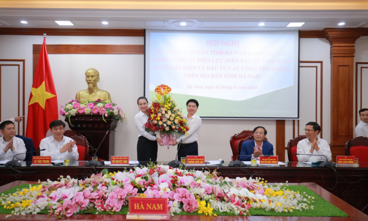 Tỉnh Hà Nam tạo mọi điều kiện cho ngành Điện kinh doanh 