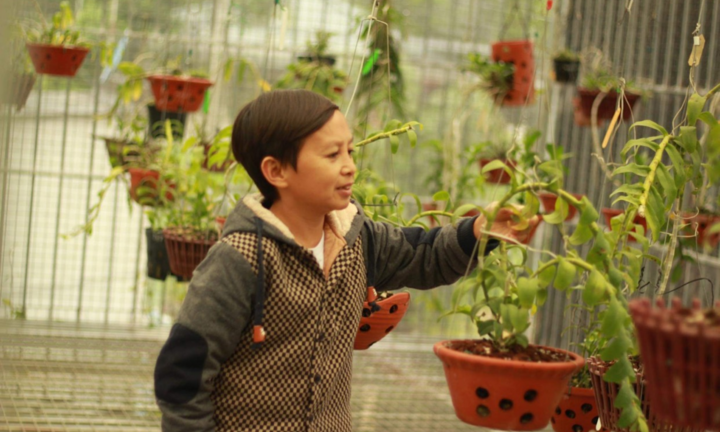 Mạnh Đinh: Chàng trai đam mê hoa lan, tận hưởng đời sống thôn dã