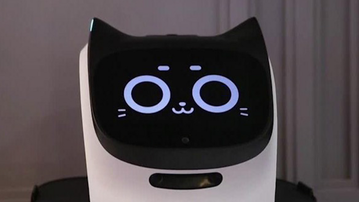 Video: Độc đáo quán cà phê sử dụng robot mèo làm nhân viên phục vụ
