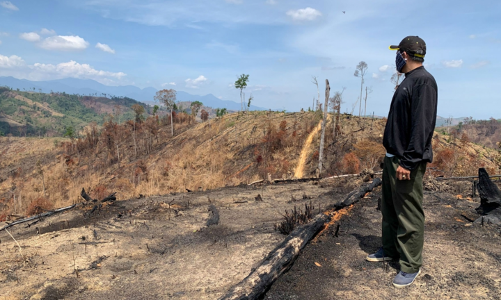 Góp ý Văn kiện Đại hội XIII: Làm gì để cứu những đại ngàn đang hấp hối?