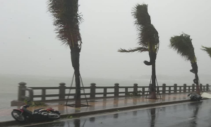 Bão số 12 áp sát Bình Định - Ninh Thuận, mưa lớn, gió giật cấp 10