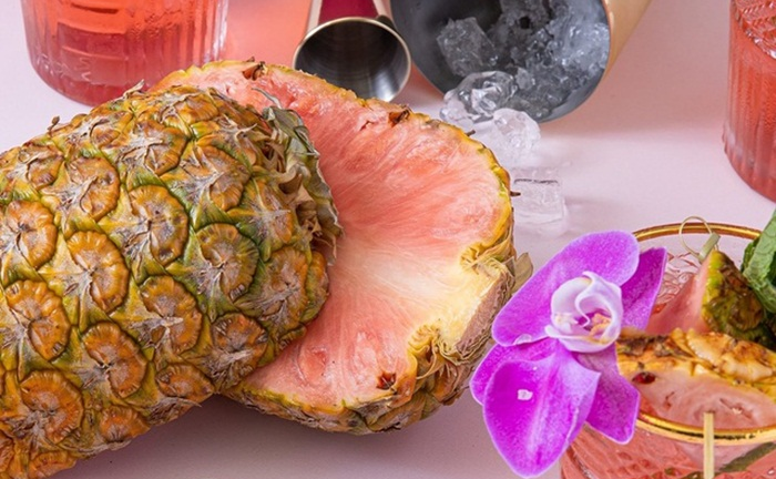 Dứa ruột hồng độc lạ giá hơn 1 triệu đồng/quả