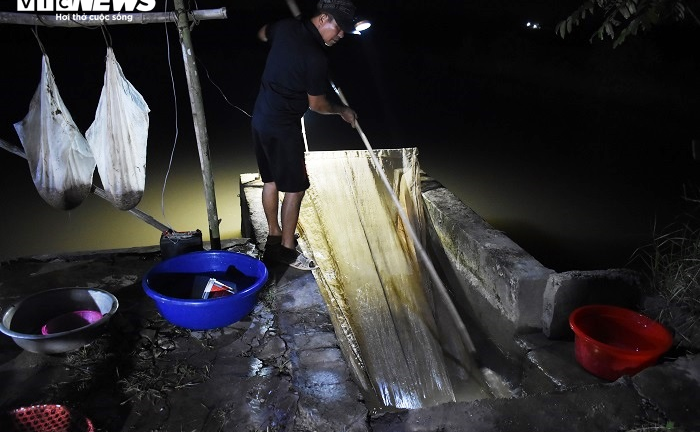 Nông dân Hải Dương chong đèn đi săn 'lộc trời', kiếm tiền triệu mỗi đêm