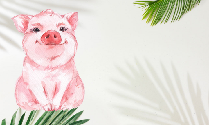 Tử vi 12 con giáp ngày 15/11: Tuổi Hợi bị cấp trên chỉ trích