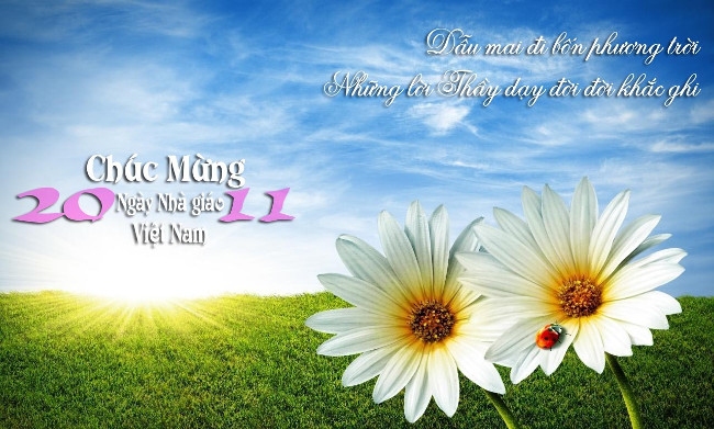 Những bài thơ hay dành tặng thầy cô ngày 20/11 