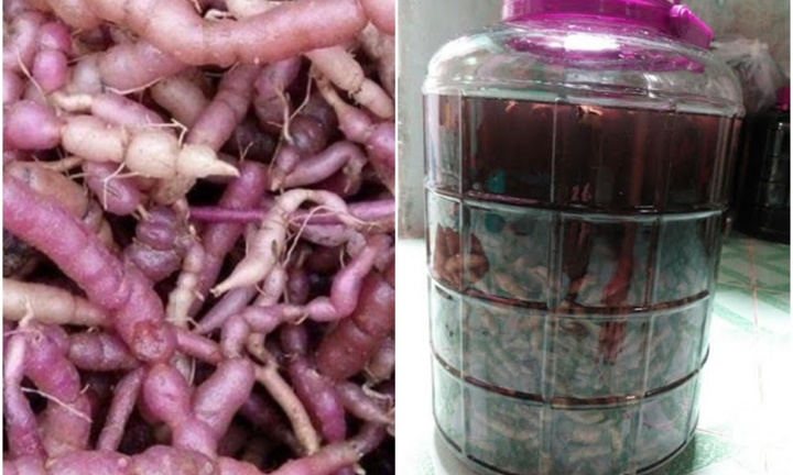 Uống rượu ba kích: Coi chừng liệt dương, vô sinh