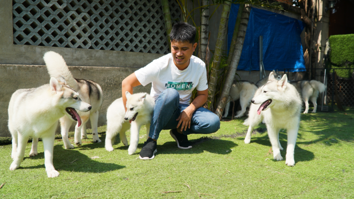 Video: Đàn sói kéo tuyết hơn 3 tỷ đồng của doanh nhân TP.HCM