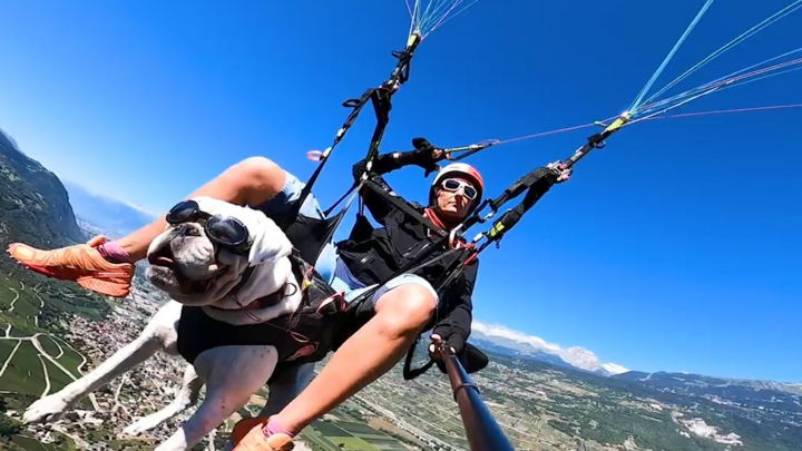 Video: Trải nghiệm đi làm bằng dù lượn tại Thuỵ Sĩ 