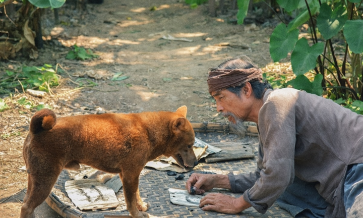 Điện ảnh Việt: Chuyển thể hay phóng tác để khán giả không phản ứng ngược?