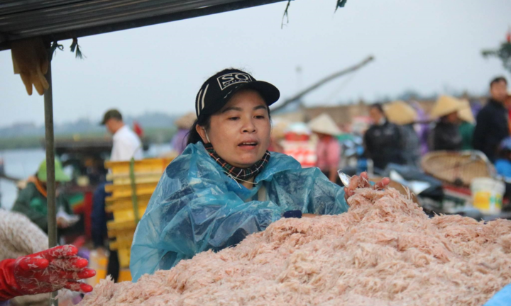 Được mùa ruốc biển, ngư dân Hà Tĩnh kiếm tiền triệu mỗi ngày
