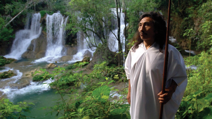 Video: Kỳ lạ bộ tộc sống trong rừng sâu, nơi đàn ông có thể lấy 4 vợ