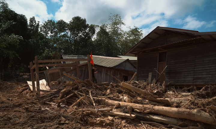 'Sống Sau Lũ' kêu gọi ủng hộ con giống để tái thiết cuộc sống người dân