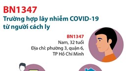 Infographic: Bệnh nhân 1347 nhiễm virus corona thế nào?