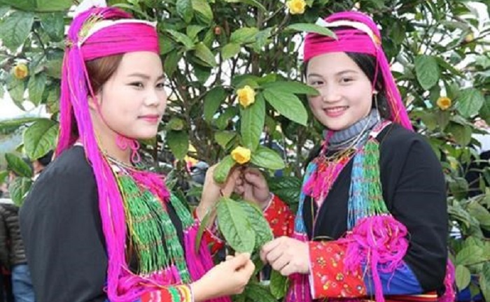 Quảng Ninh xây dựng trà hoa vàng trở thành sản phẩm OCOP cấp Quốc gia