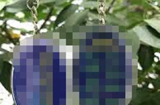 Thu giữ hàng loạt móc chìa khóa dùng tuyên truyền trái phép Pháp luân công