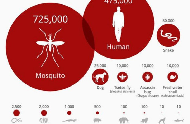 Nên tận diệt muỗi hay chủ động phòng ngừa?