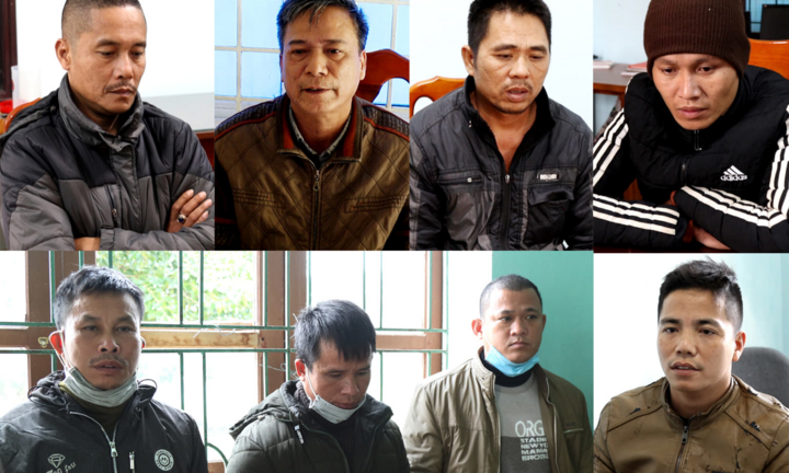 Khởi tố chủ doanh nghiệp ở Quảng Bình cầm đầu nhóm phá rừng quy mô lớn