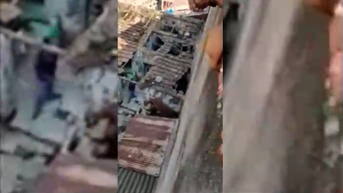 Video: Báo hoang tấn công người, cả làng náo loạn bỏ chạy