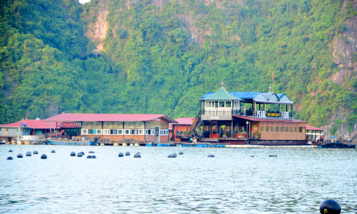 Dự án trong di sản Vịnh Hạ Long khai thác 22 năm chưa có đánh giá môi trường