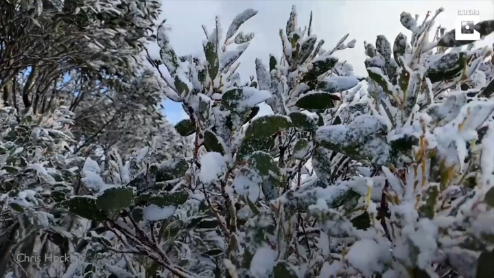 Video: Tuyết rơi bất thường vào tháng mùa hè nóng nhất ở Australia